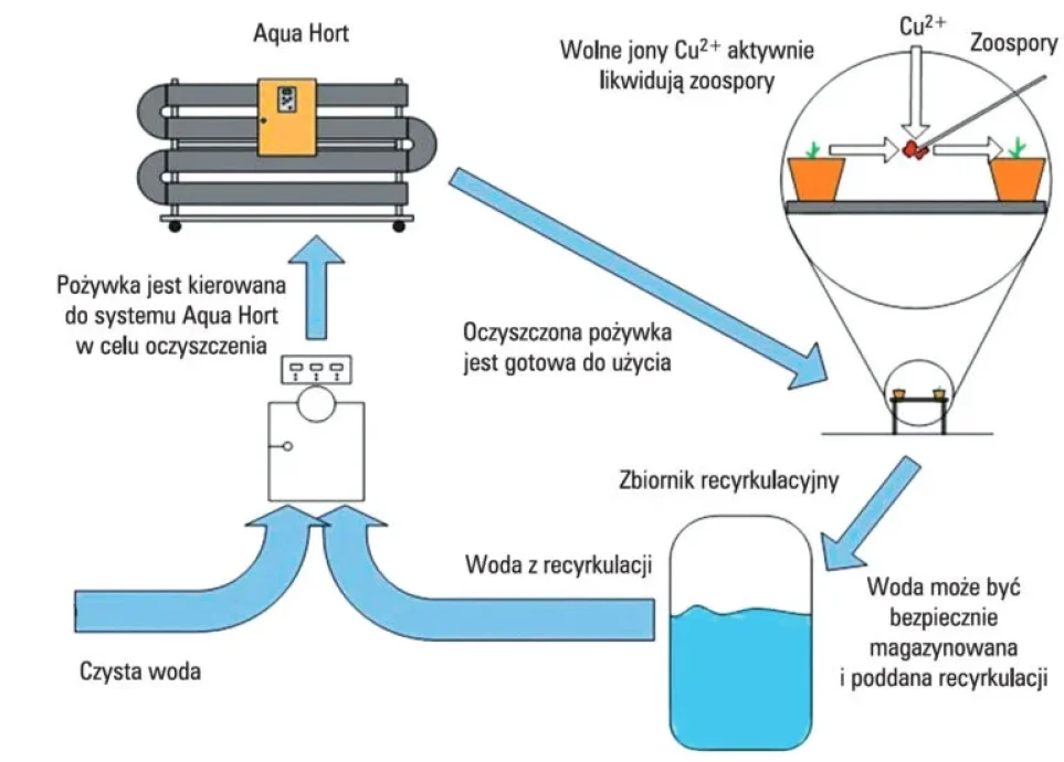 system-dezynfekcji-wody-jonami-miedzi-system-aquahort-greenteam-02-768x550